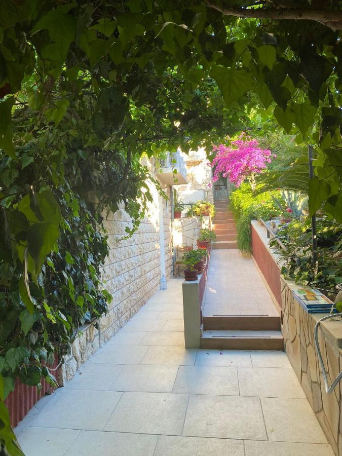 Villa Tania ฮวาร์ ภายนอก รูปภาพ
