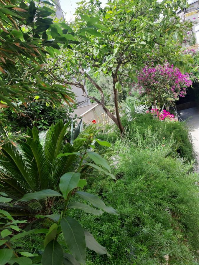 Villa Tania ฮวาร์ ภายนอก รูปภาพ